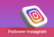 Instagram Followers